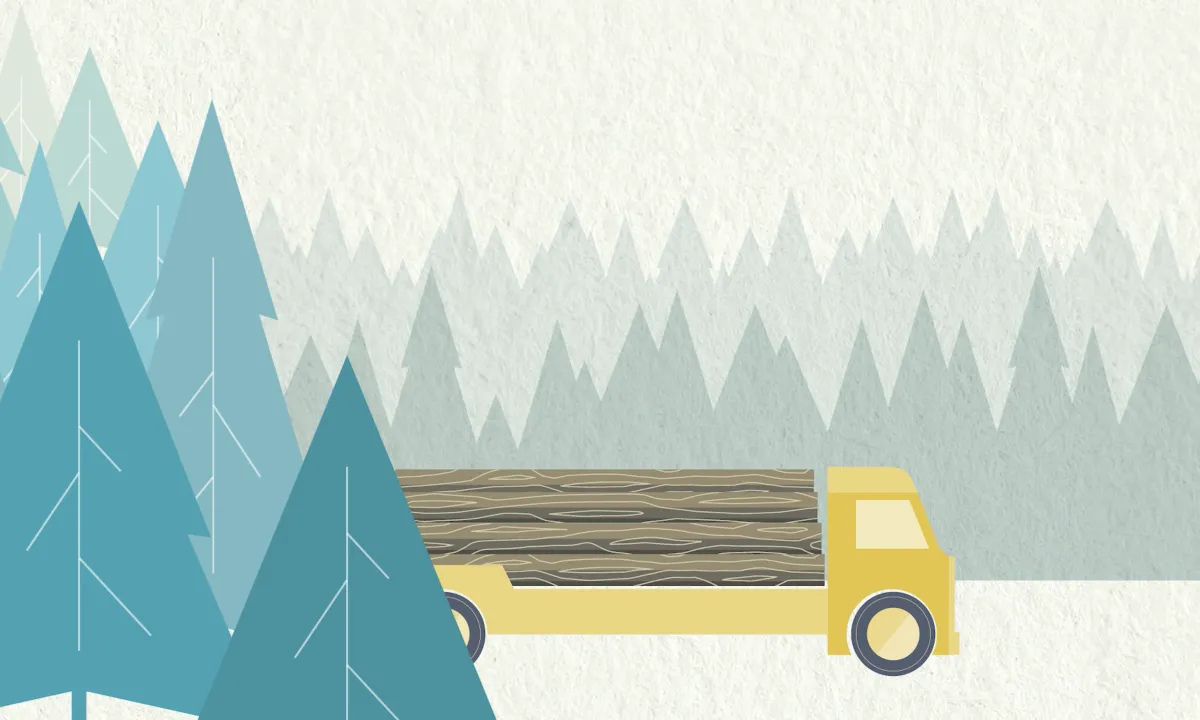 ChemStone Digester Additives