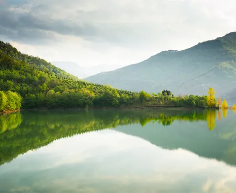 Our Vision - #row - #image